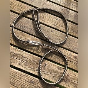 Handmade Paracord Leash and Slip Collar